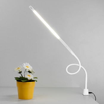 Настольная лампа для школьников Eurosvet 80429/1 белый